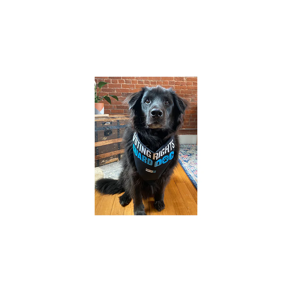 Pet Bandana: Voting Rights Guard Dog - Image 6